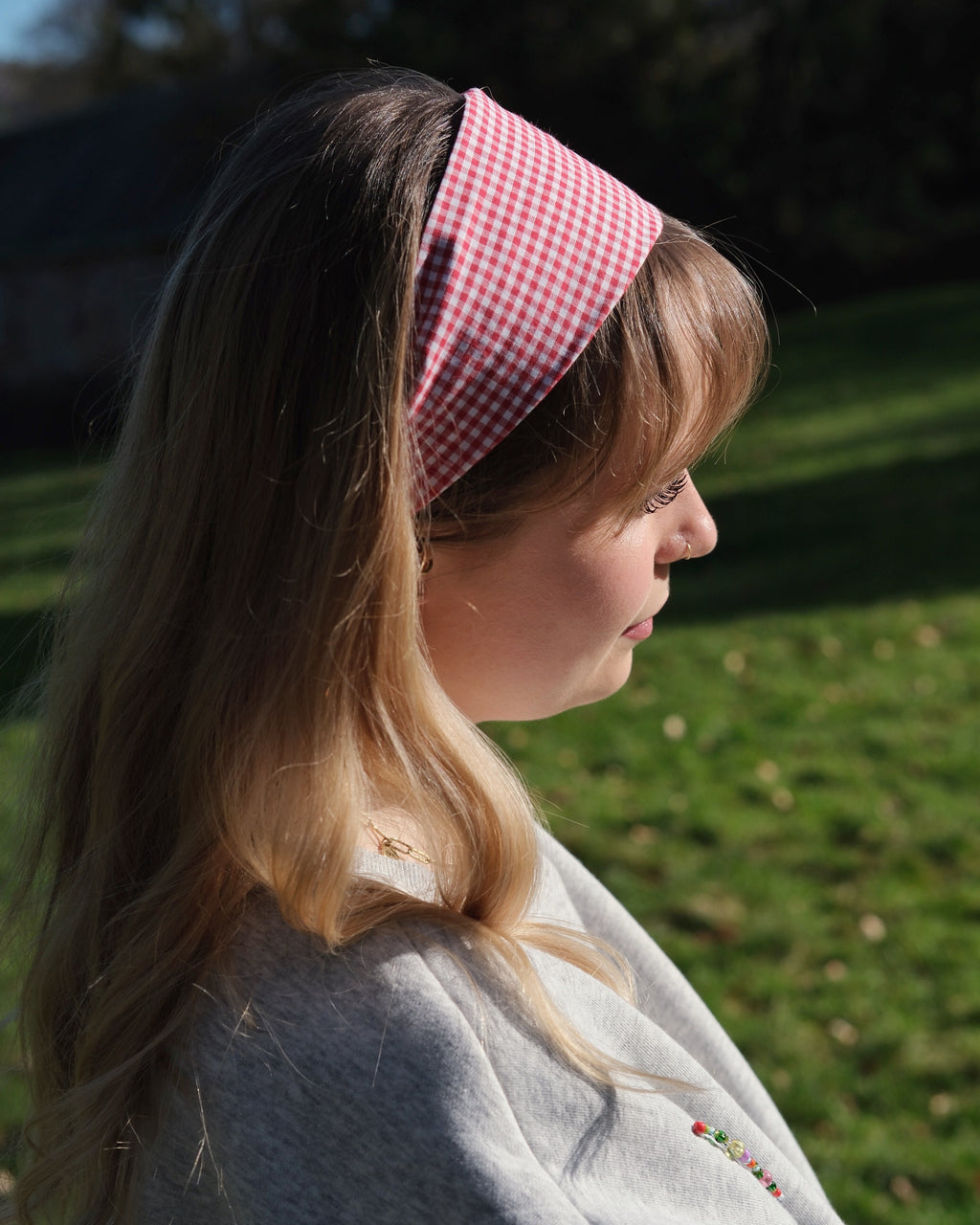 Bandeau Vichy